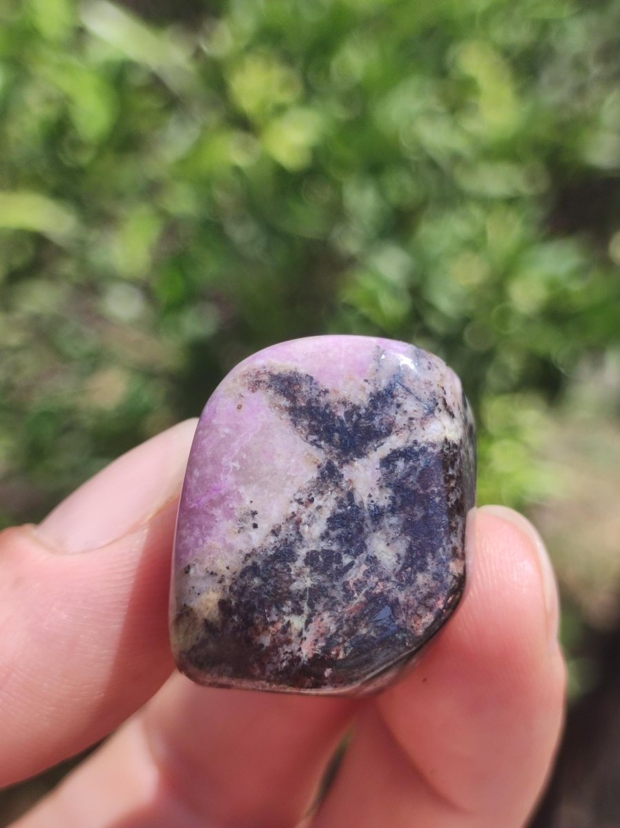 Sugilith - Sammler Deko Heilstein lila Handschmeichler Rarität Meditation Energie Edelstein Kristall Investition Wertanlage Natürlich Unikat - Art of Nature Berlin