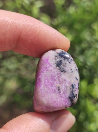 Sugilith - Sammler Deko Heilstein lila Handschmeichler Rarität Meditation Energie Edelstein Kristall Investition Wertanlage Natürlich Unikat - Art of Nature Berlin