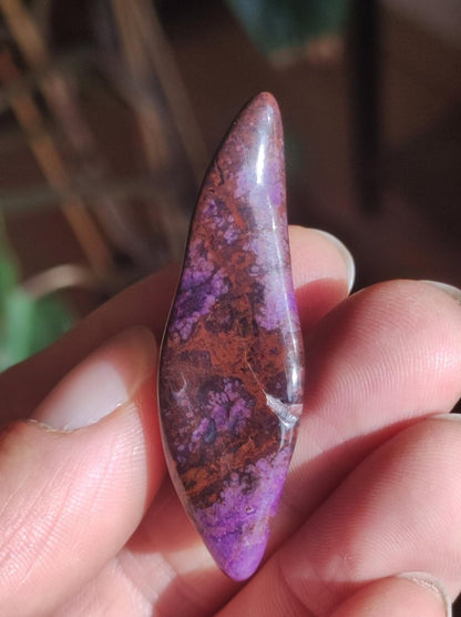 Sugilith - Sammler Deko Heilstein lila Handschmeichler Rarität Meditation Energie Edelstein Kristall Investition Wertanlage Natürlich Unikat - Art of Nature Berlin