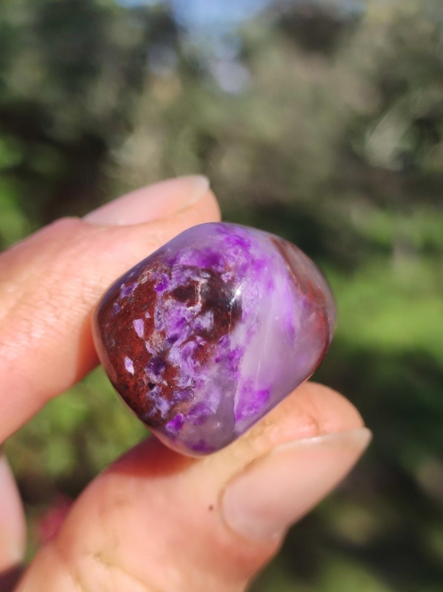 Sugilith - Sammler Deko Heilstein lila Handschmeichler Rarität Meditation Energie Edelstein Kristall Investition Wertanlage Natürlich Unikat - Art of Nature Berlin