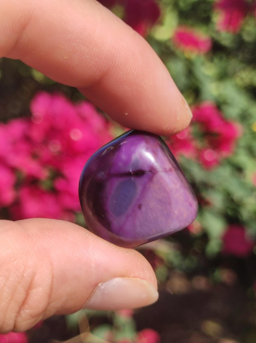 Sugilith - Sammler Deko Heilstein lila Handschmeichler Rarität Meditation Energie Edelstein Kristall Investition Wertanlage Natürlich Unikat - Art of Nature Berlin