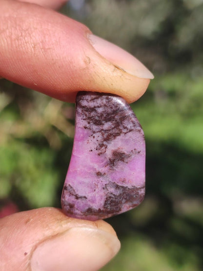 Sugilith - Sammler Deko Heilstein lila Handschmeichler Rarität Meditation Energie Edelstein Kristall Investition Wertanlage Natürlich Unikat - Art of Nature Berlin