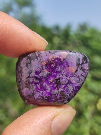 Sugilith - Sammler Deko Heilstein lila Handschmeichler Rarität Meditation Energie Edelstein Kristall Investition Wertanlage Natürlich Unikat - Art of Nature Berlin