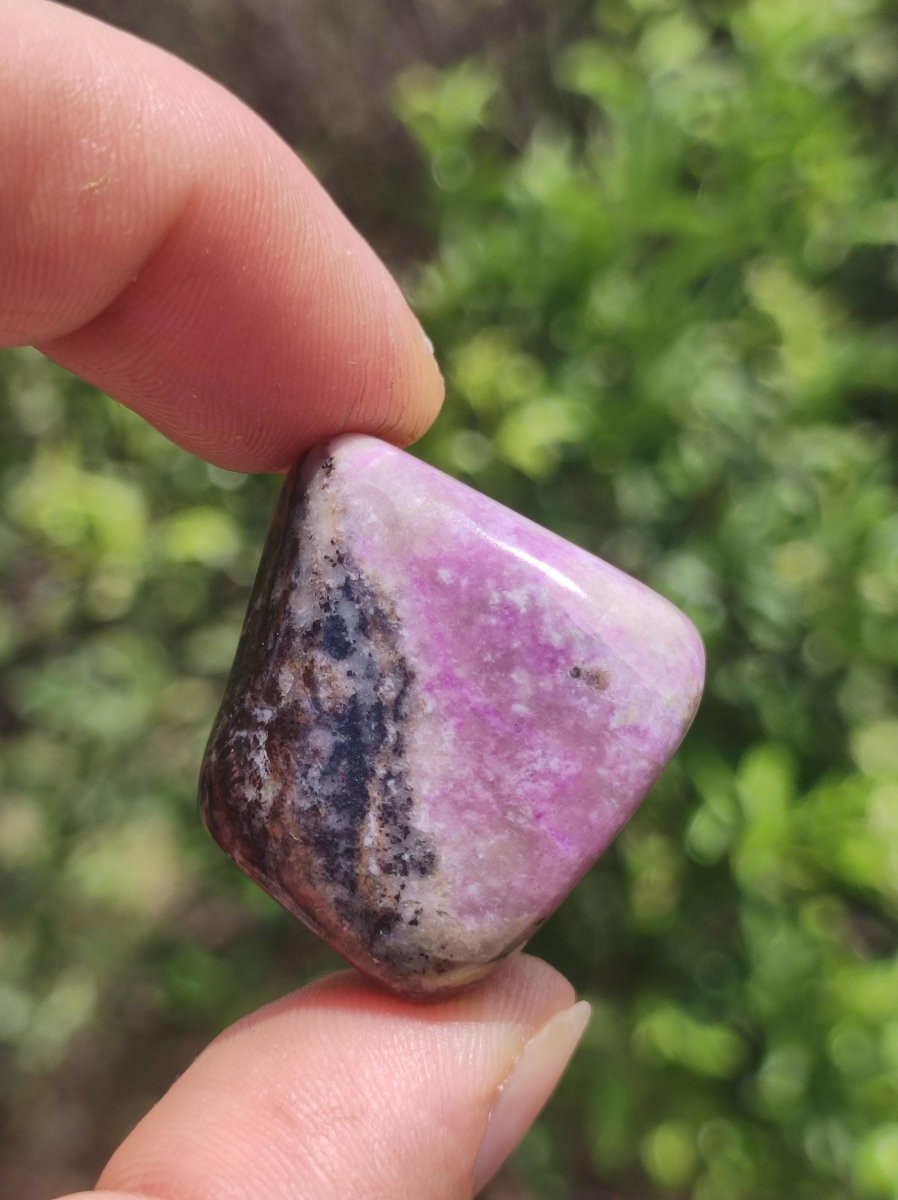 Sugilith - Sammler Deko Heilstein lila Handschmeichler Rarität Meditation Energie Edelstein Kristall Investition Wertanlage Natürlich Unikat - Art of Nature Berlin