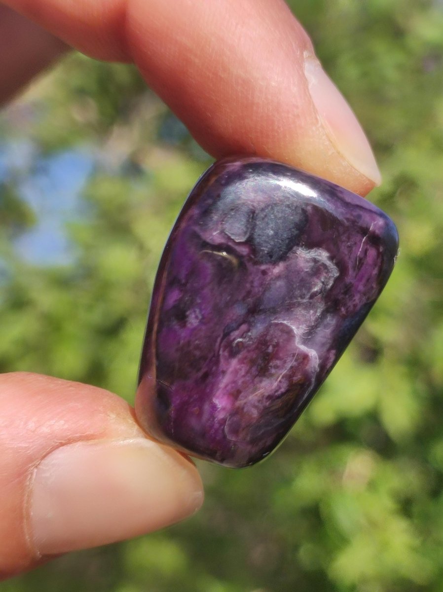 Sugilith - Sammler Deko Heilstein lila Handschmeichler Rarität Meditation Energie Edelstein Kristall Investition Wertanlage Natürlich Unikat - Art of Nature Berlin