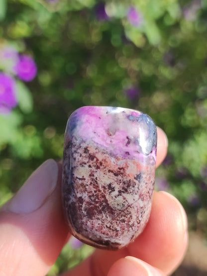 Sugilith - Sammler Deko Heilstein lila Handschmeichler Rarität Meditation Energie Edelstein Kristall Investition Wertanlage Natürlich Unikat - Art of Nature Berlin