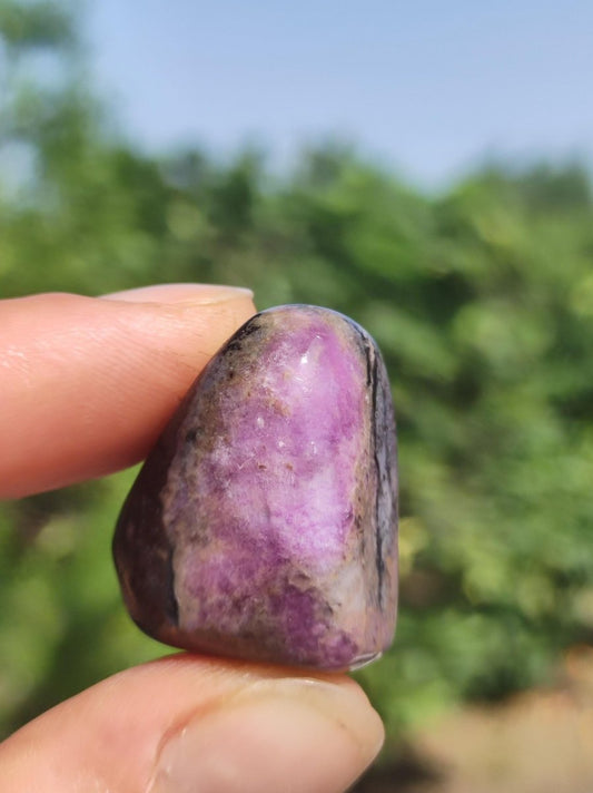 Sugilith - Sammler Deko Heilstein lila Handschmeichler Rarität Meditation Energie Edelstein Kristall Investition Wertanlage Natürlich Unikat - Art of Nature Berlin