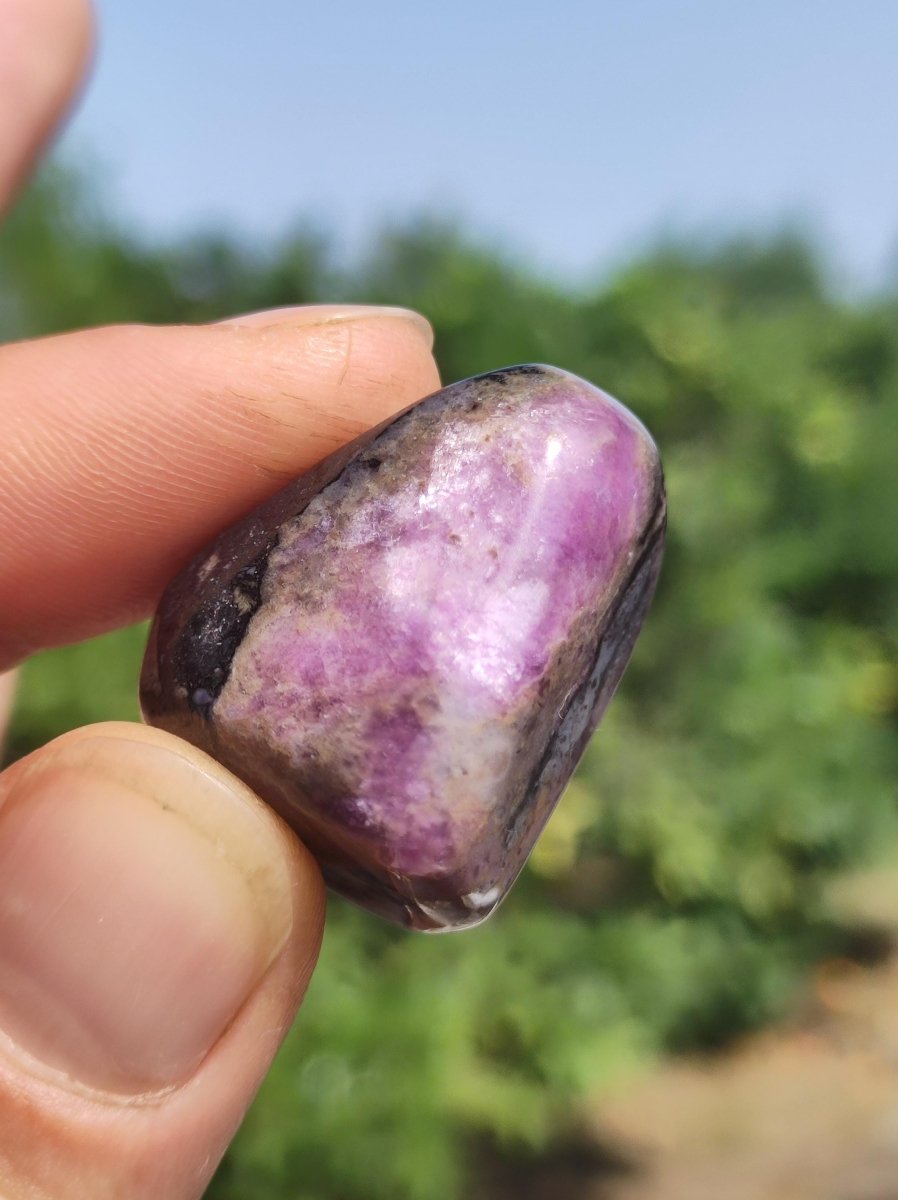 Sugilith - Sammler Deko Heilstein lila Handschmeichler Rarität Meditation Energie Edelstein Kristall Investition Wertanlage Natürlich Unikat - Art of Nature Berlin