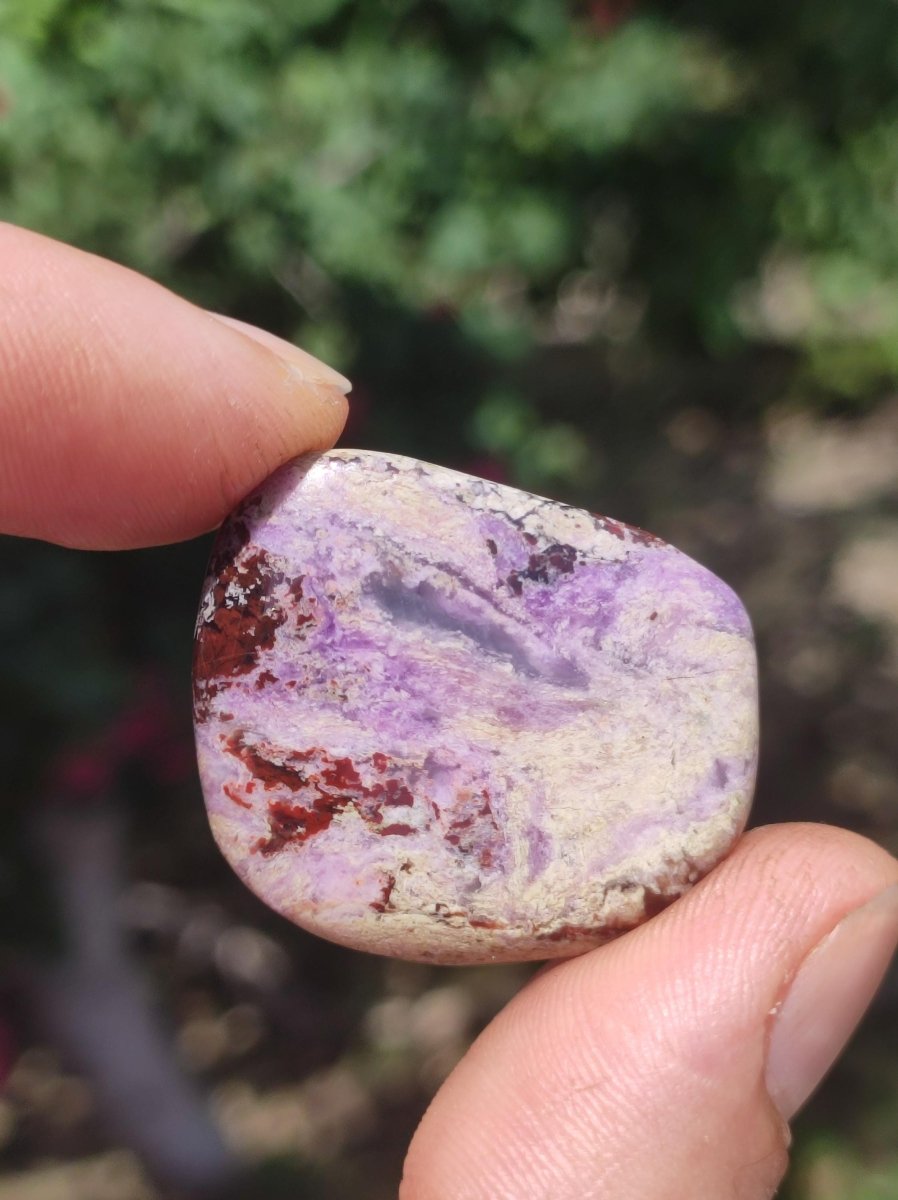 Sugilith - Sammler Deko Heilstein lila Handschmeichler Rarität Meditation Energie Edelstein Kristall Investition Wertanlage Natürlich Unikat - Art of Nature Berlin