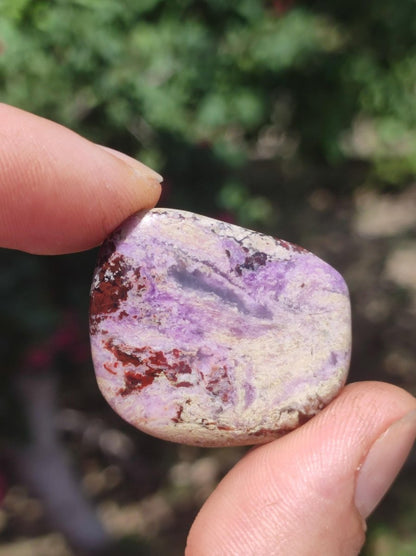 Sugilith - Sammler Deko Heilstein lila Handschmeichler Rarität Meditation Energie Edelstein Kristall Investition Wertanlage Natürlich Unikat - Art of Nature Berlin