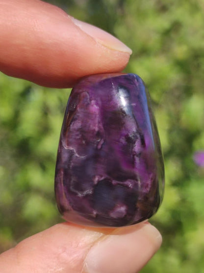 Sugilith - Sammler Deko Heilstein lila Handschmeichler Rarität Meditation Energie Edelstein Kristall Investition Wertanlage Natürlich Unikat - Art of Nature Berlin