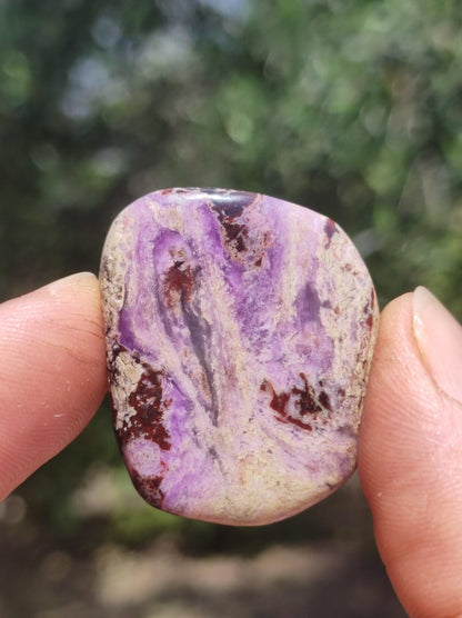 Sugilith - Sammler Deko Heilstein lila Handschmeichler Rarität Meditation Energie Edelstein Kristall Investition Wertanlage Natürlich Unikat - Art of Nature Berlin