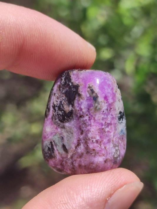 Sugilith - Sammler Deko Heilstein lila Handschmeichler Rarität Meditation Energie Edelstein Kristall Investition Wertanlage Natürlich Unikat - Art of Nature Berlin