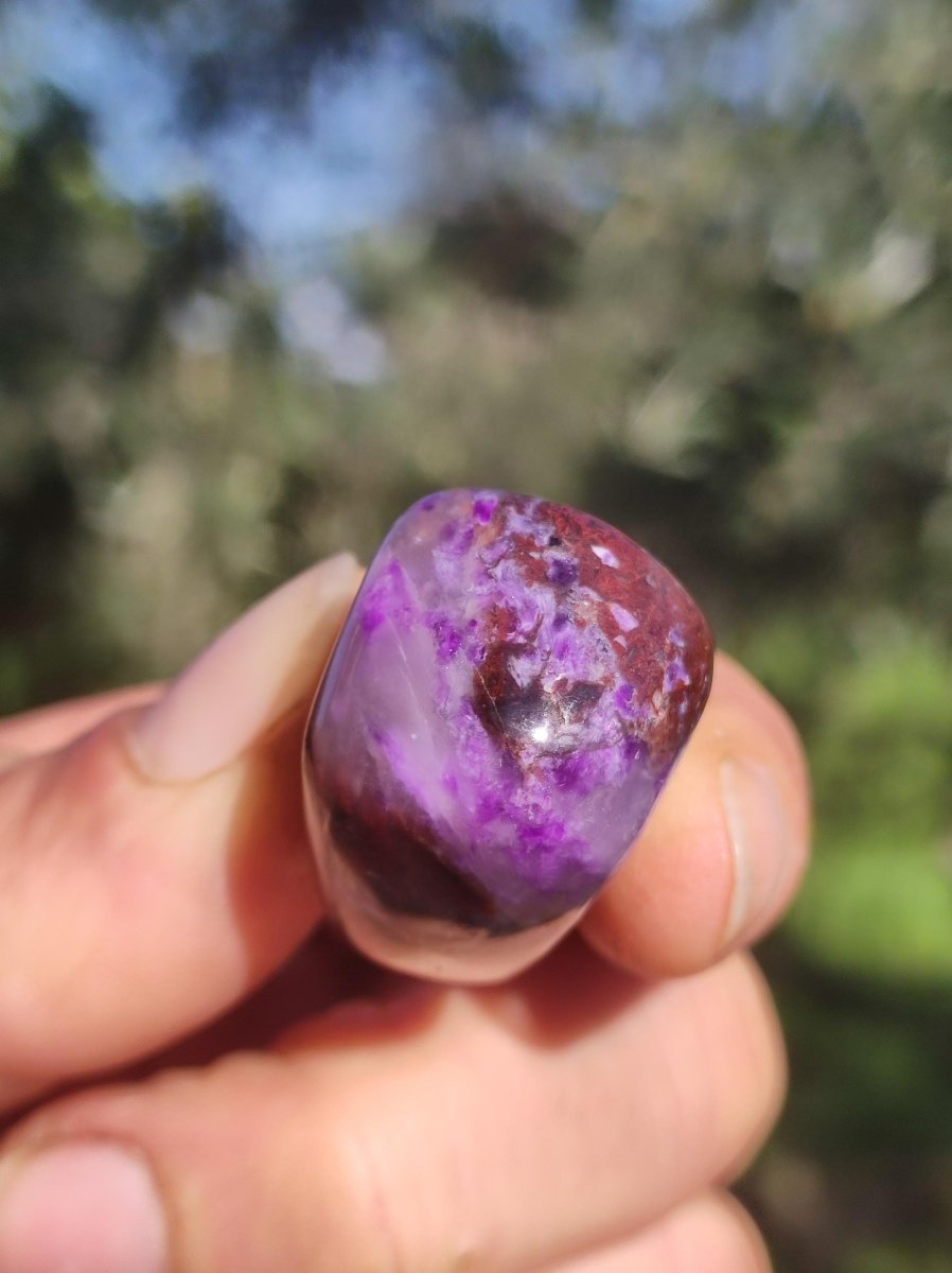 Sugilith - Sammler Deko Heilstein lila Handschmeichler Rarität Meditation Energie Edelstein Kristall Investition Wertanlage Natürlich Unikat - Art of Nature Berlin