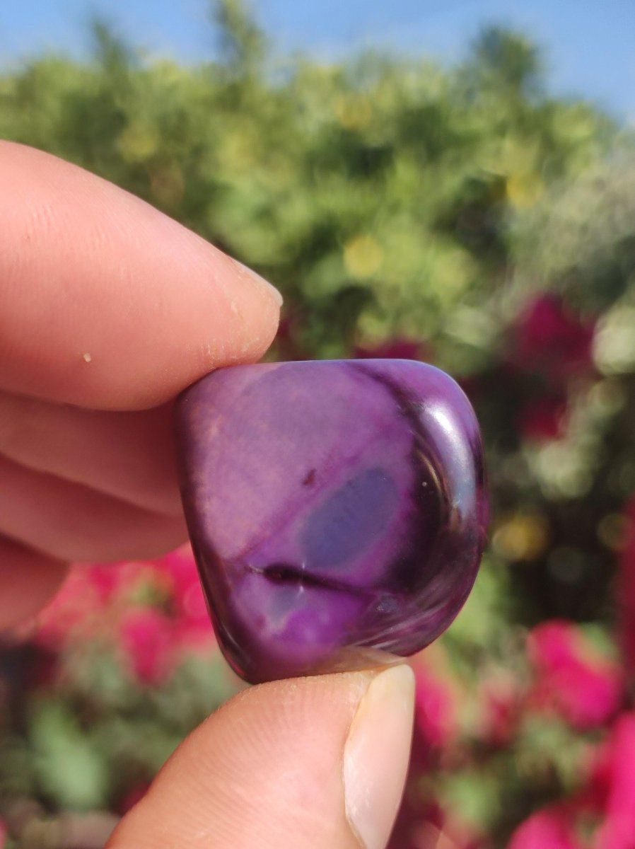 Sugilith - Sammler Deko Heilstein lila Handschmeichler Rarität Meditation Energie Edelstein Kristall Investition Wertanlage Natürlich Unikat - Art of Nature Berlin