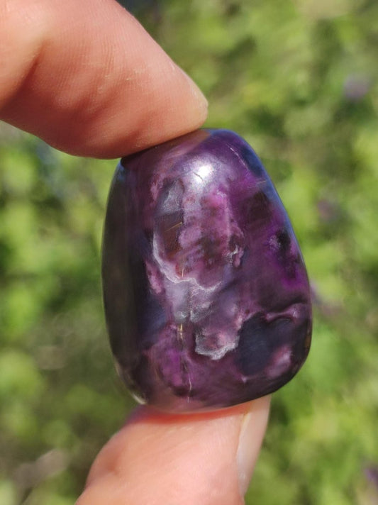 Sugilith - Sammler Deko Heilstein lila Handschmeichler Rarität Meditation Energie Edelstein Kristall Investition Wertanlage Natürlich Unikat - Art of Nature Berlin