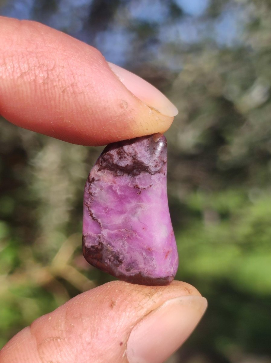 Sugilith - Sammler Deko Heilstein lila Handschmeichler Rarität Meditation Energie Edelstein Kristall Investition Wertanlage Natürlich Unikat - Art of Nature Berlin