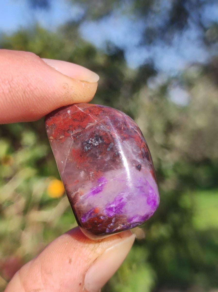 Sugilith - Sammler Deko Heilstein lila Handschmeichler Rarität Meditation Energie Edelstein Kristall Investition Wertanlage Natürlich Unikat - Art of Nature Berlin