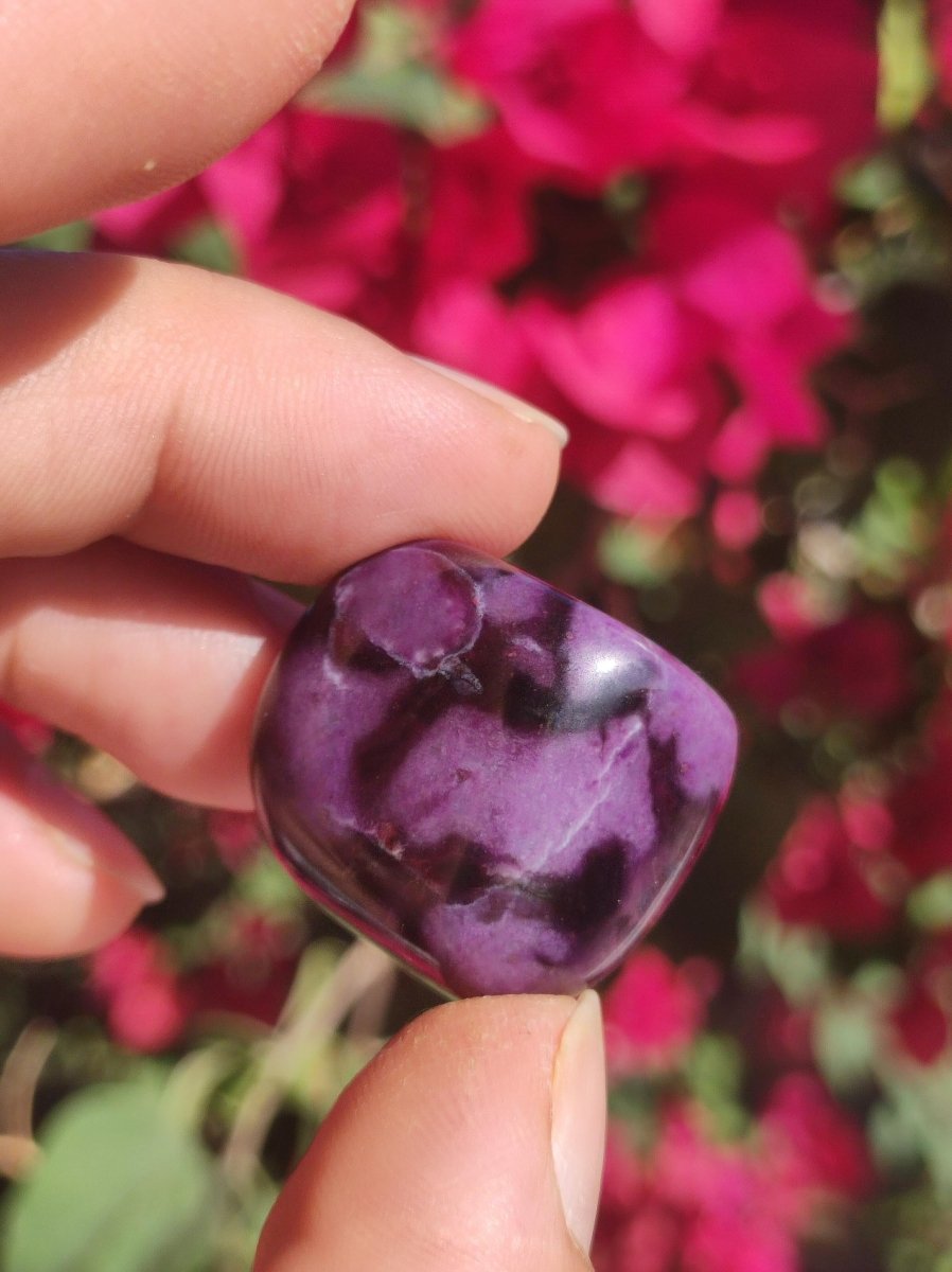 Sugilith - Sammler Deko Heilstein lila Handschmeichler Rarität Meditation Energie Edelstein Kristall Investition Wertanlage Natürlich Unikat - Art of Nature Berlin