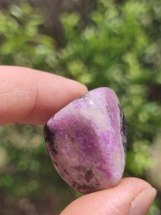 Sugilith - Sammler Deko Heilstein lila Handschmeichler Rarität Meditation Energie Edelstein Kristall Investition Wertanlage Natürlich Unikat - Art of Nature Berlin