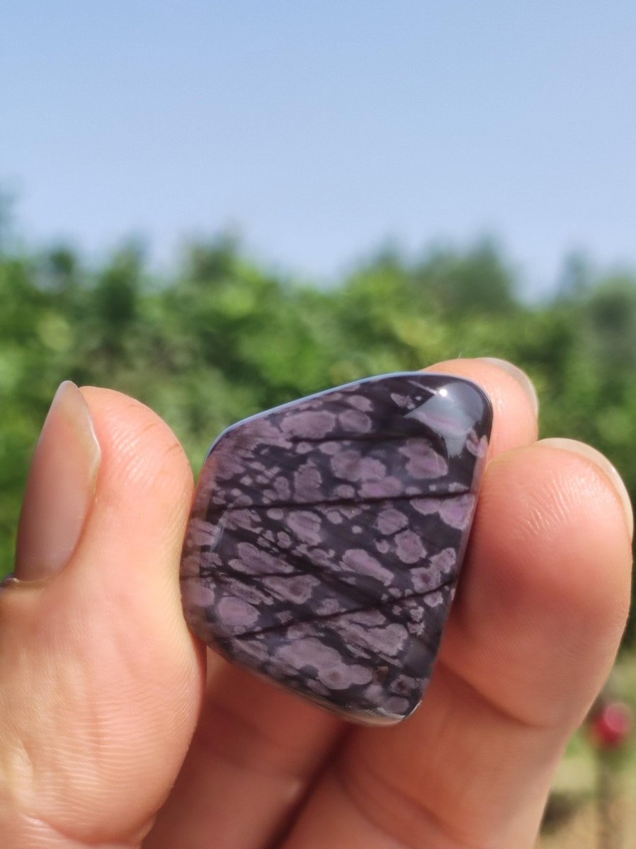 Sugilith - Sammler Deko Heilstein lila Handschmeichler Rarität Meditation Energie Edelstein Kristall Investition Wertanlage Natürlich Unikat - Art of Nature Berlin