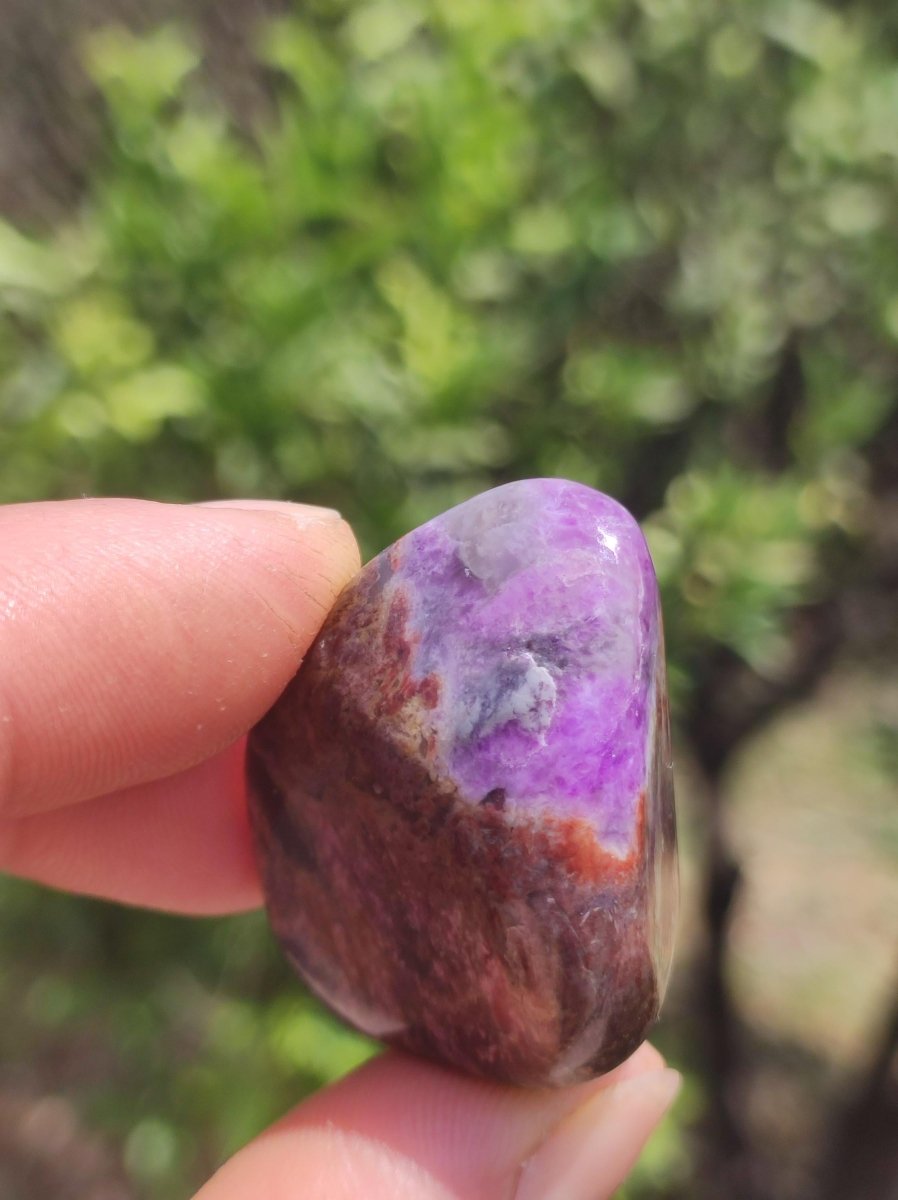 Sugilith - Sammler Deko Heilstein lila Handschmeichler Rarität Meditation Energie Edelstein Kristall Investition Wertanlage Natürlich Unikat - Art of Nature Berlin