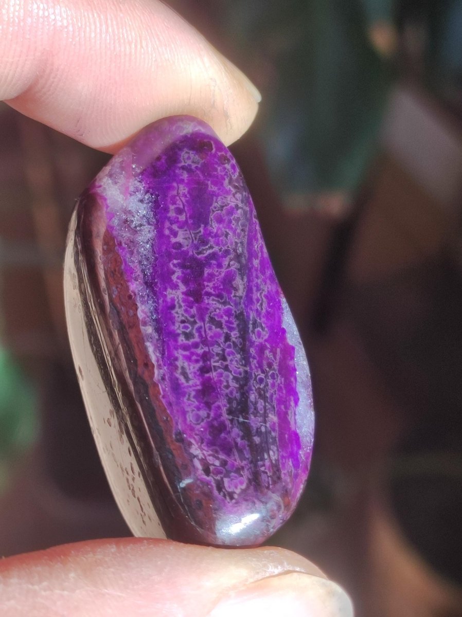 Sugilith - Sammler Deko Heilstein lila Handschmeichler Rarität Meditation Energie Edelstein Kristall Investition Wertanlage Natürlich Unikat - Art of Nature Berlin