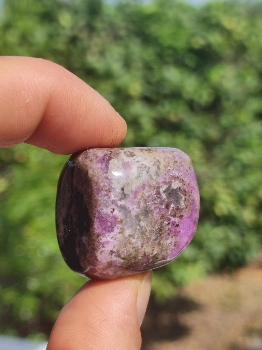 Sugilith - Sammler Deko Heilstein lila Handschmeichler Rarität Meditation Energie Edelstein Kristall Investition Wertanlage Natürlich Unikat - Art of Nature Berlin