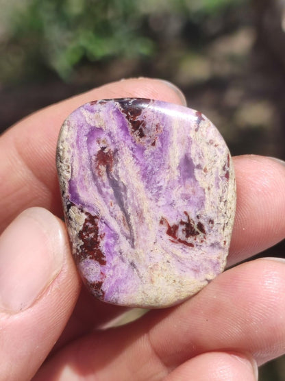 Sugilith - Sammler Deko Heilstein lila Handschmeichler Rarität Meditation Energie Edelstein Kristall Investition Wertanlage Natürlich Unikat - Art of Nature Berlin