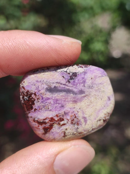 Sugilith - Sammler Deko Heilstein lila Handschmeichler Rarität Meditation Energie Edelstein Kristall Investition Wertanlage Natürlich Unikat - Art of Nature Berlin