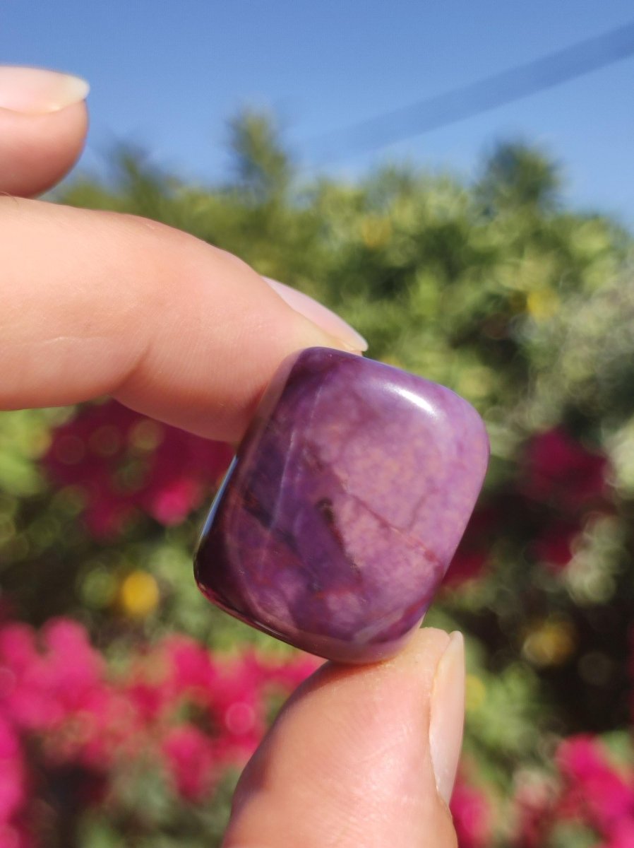 Sugilith - Sammler Deko Heilstein lila Handschmeichler Rarität Meditation Energie Edelstein Kristall Investition Wertanlage Natürlich Unikat - Art of Nature Berlin