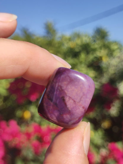 Sugilith - Sammler Deko Heilstein lila Handschmeichler Rarität Meditation Energie Edelstein Kristall Investition Wertanlage Natürlich Unikat - Art of Nature Berlin