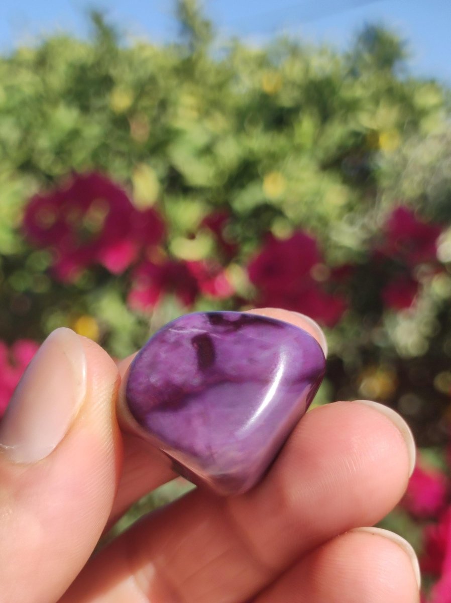 Sugilith - Sammler Deko Heilstein lila Handschmeichler Rarität Meditation Energie Edelstein Kristall Investition Wertanlage Natürlich Unikat - Art of Nature Berlin