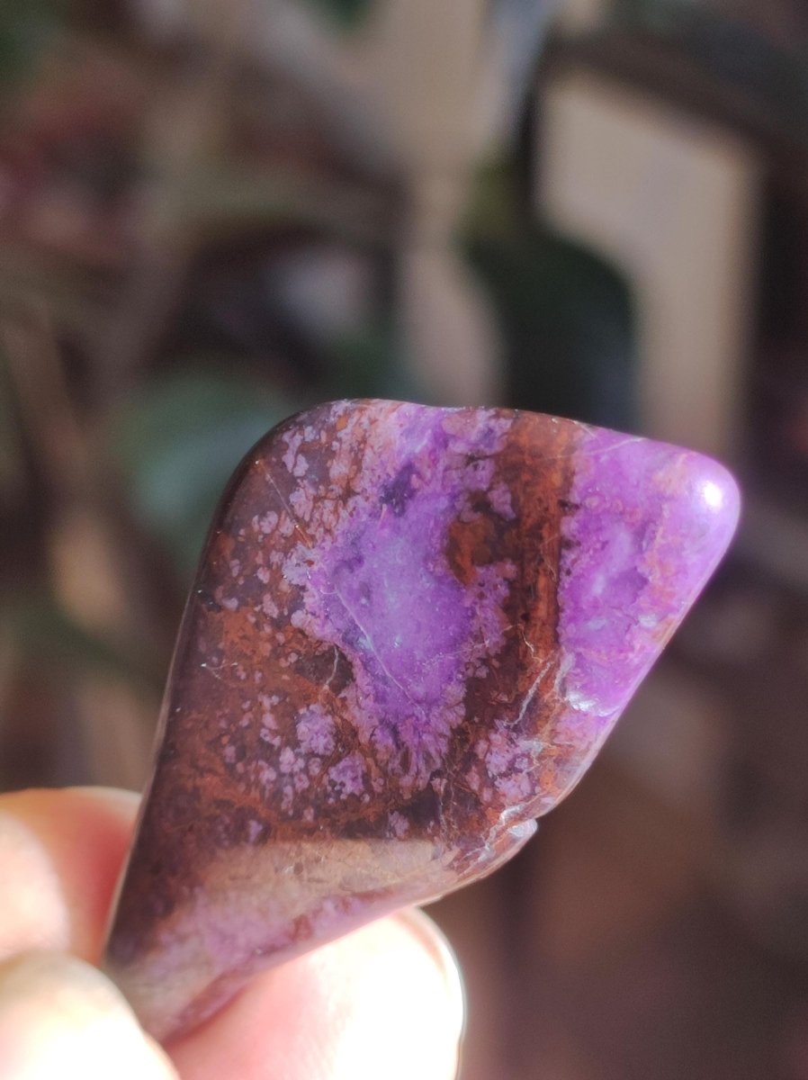 Sugilith - Sammler Deko Heilstein lila Handschmeichler Rarität Meditation Energie Edelstein Kristall Investition Wertanlage Natürlich Unikat - Art of Nature Berlin