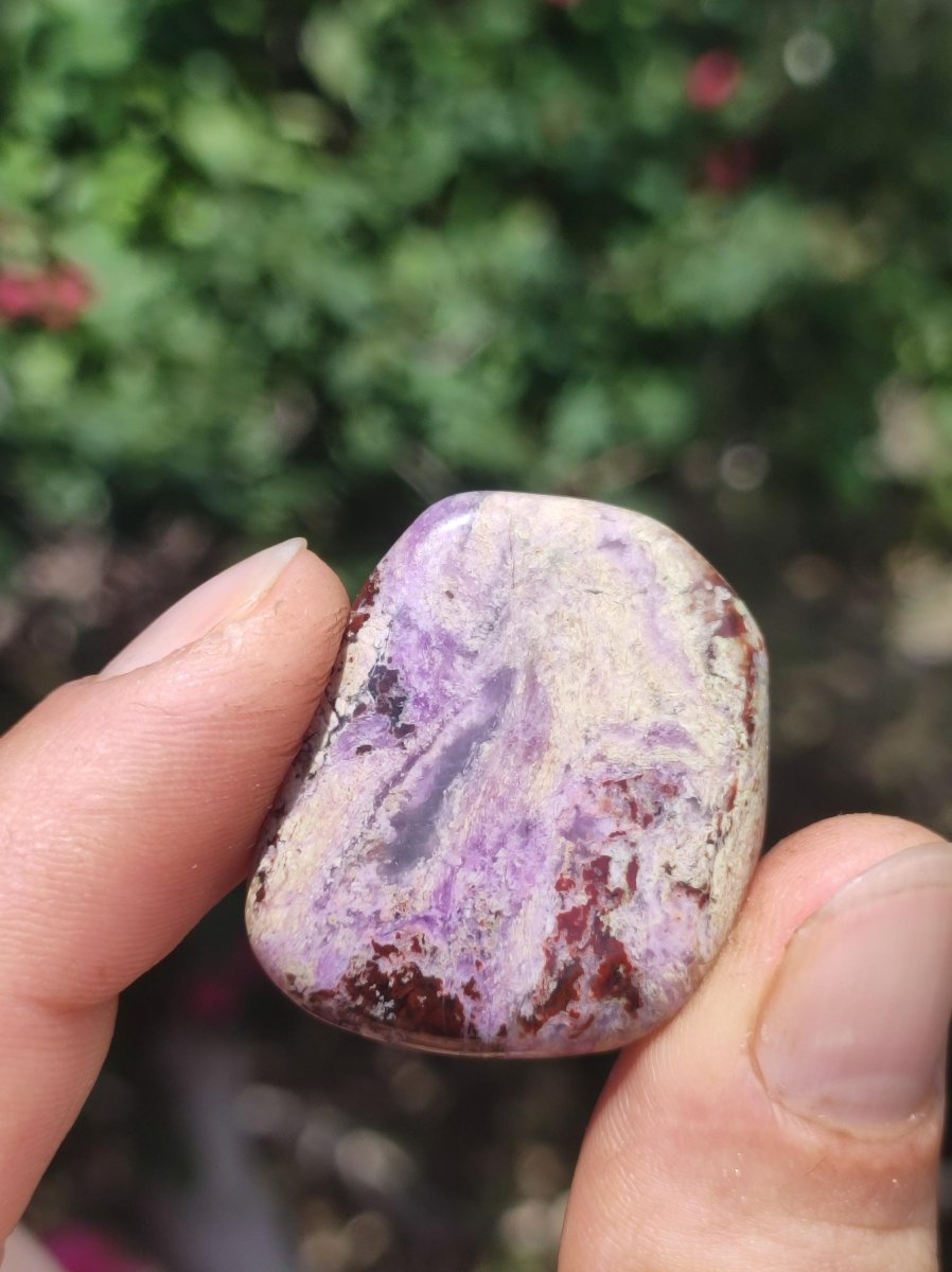 Sugilith - Sammler Deko Heilstein lila Handschmeichler Rarität Meditation Energie Edelstein Kristall Investition Wertanlage Natürlich Unikat - Art of Nature Berlin