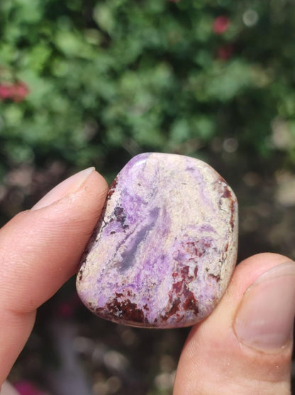 Sugilith - Sammler Deko Heilstein lila Handschmeichler Rarität Meditation Energie Edelstein Kristall Investition Wertanlage Natürlich Unikat - Art of Nature Berlin