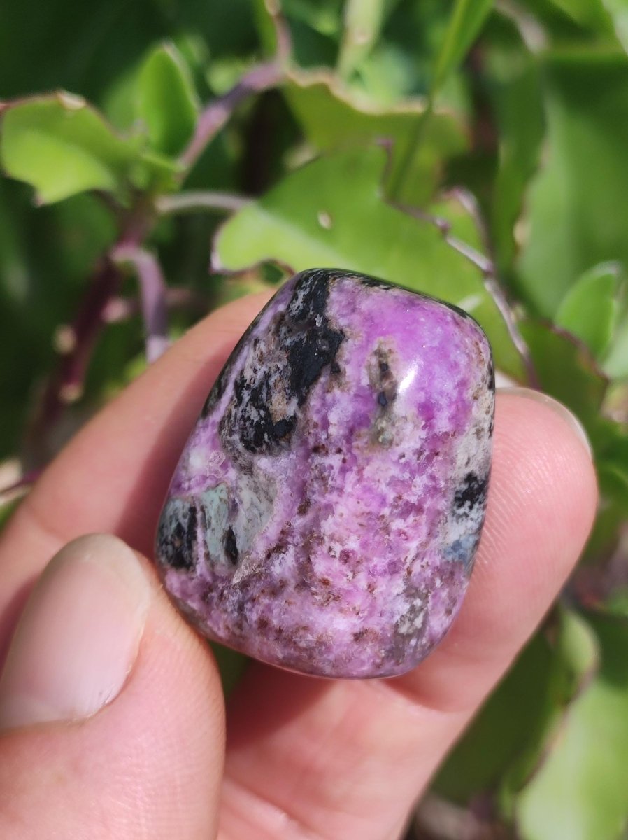Sugilith - Sammler Deko Heilstein lila Handschmeichler Rarität Meditation Energie Edelstein Kristall Investition Wertanlage Natürlich Unikat - Art of Nature Berlin