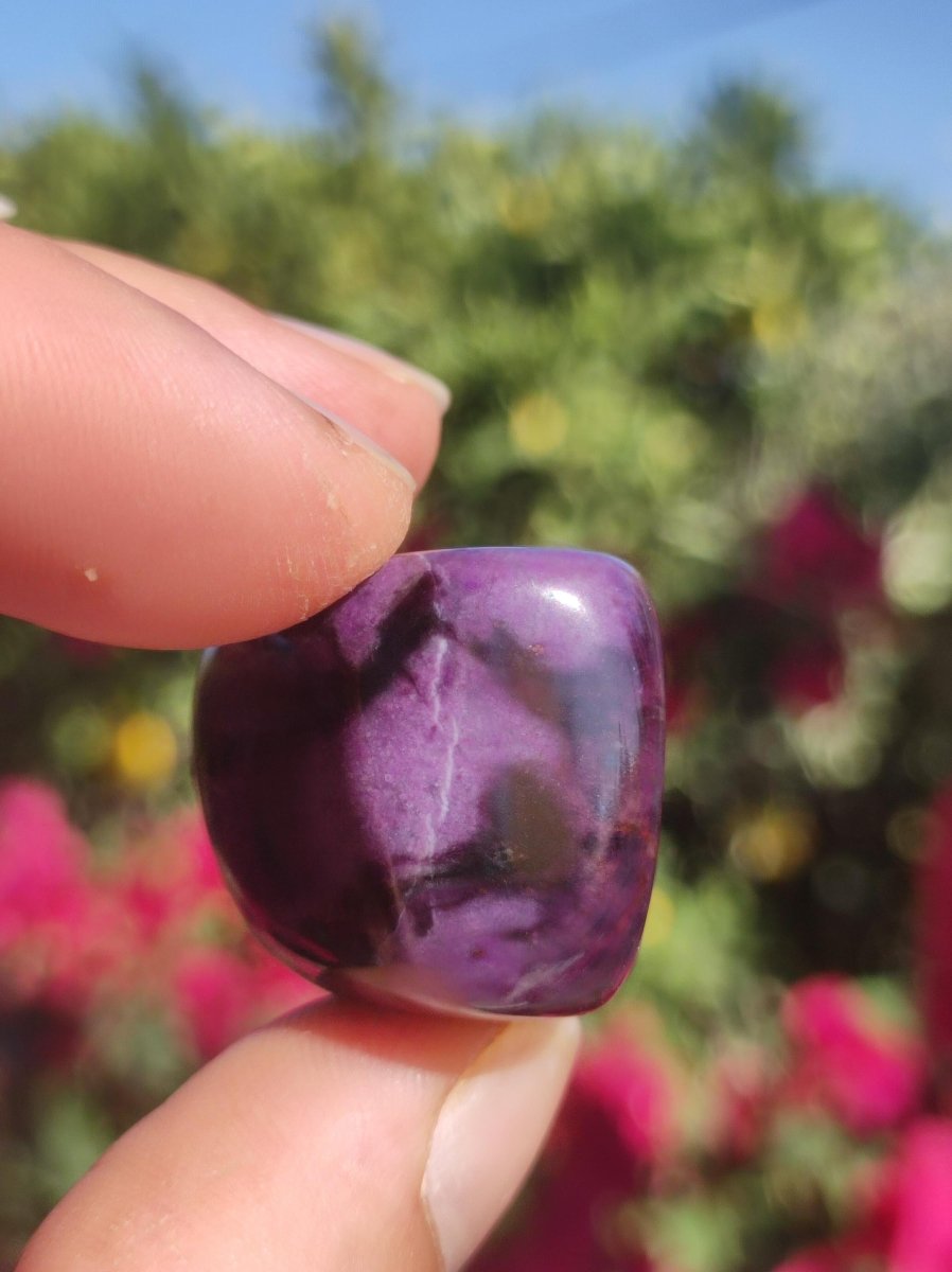 Sugilith - Sammler Deko Heilstein lila Handschmeichler Rarität Meditation Energie Edelstein Kristall Investition Wertanlage Natürlich Unikat - Art of Nature Berlin
