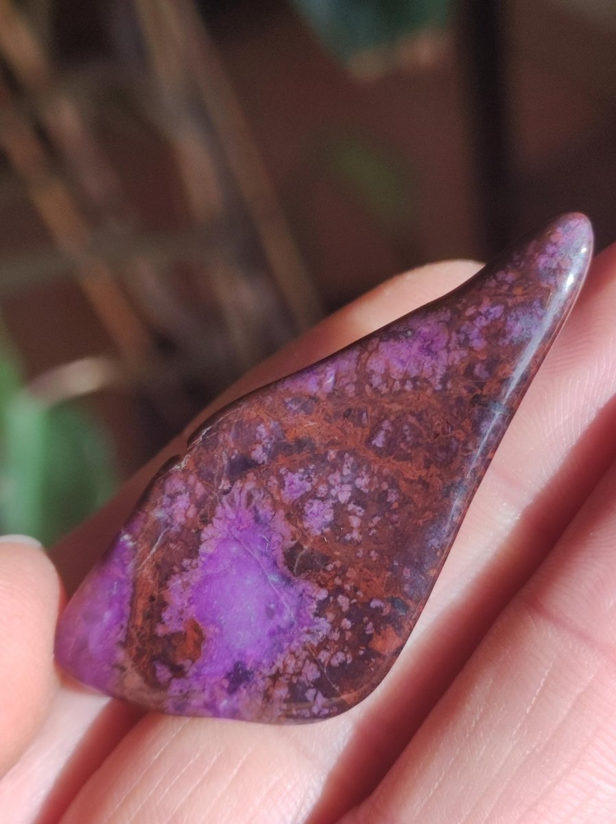 Sugilith - Sammler Deko Heilstein lila Handschmeichler Rarität Meditation Energie Edelstein Kristall Investition Wertanlage Natürlich Unikat - Art of Nature Berlin