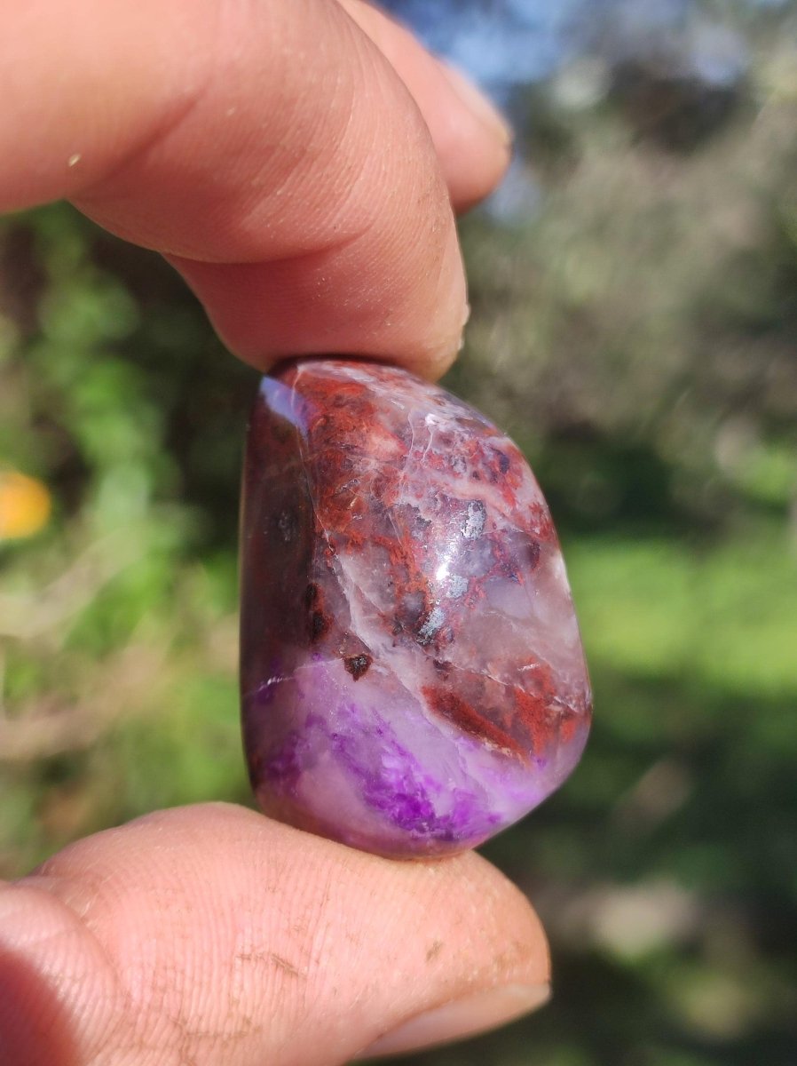 Sugilith - Sammler Deko Heilstein lila Handschmeichler Rarität Meditation Energie Edelstein Kristall Investition Wertanlage Natürlich Unikat - Art of Nature Berlin