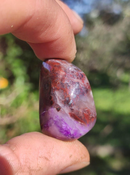 Sugilith - Sammler Deko Heilstein lila Handschmeichler Rarität Meditation Energie Edelstein Kristall Investition Wertanlage Natürlich Unikat - Art of Nature Berlin