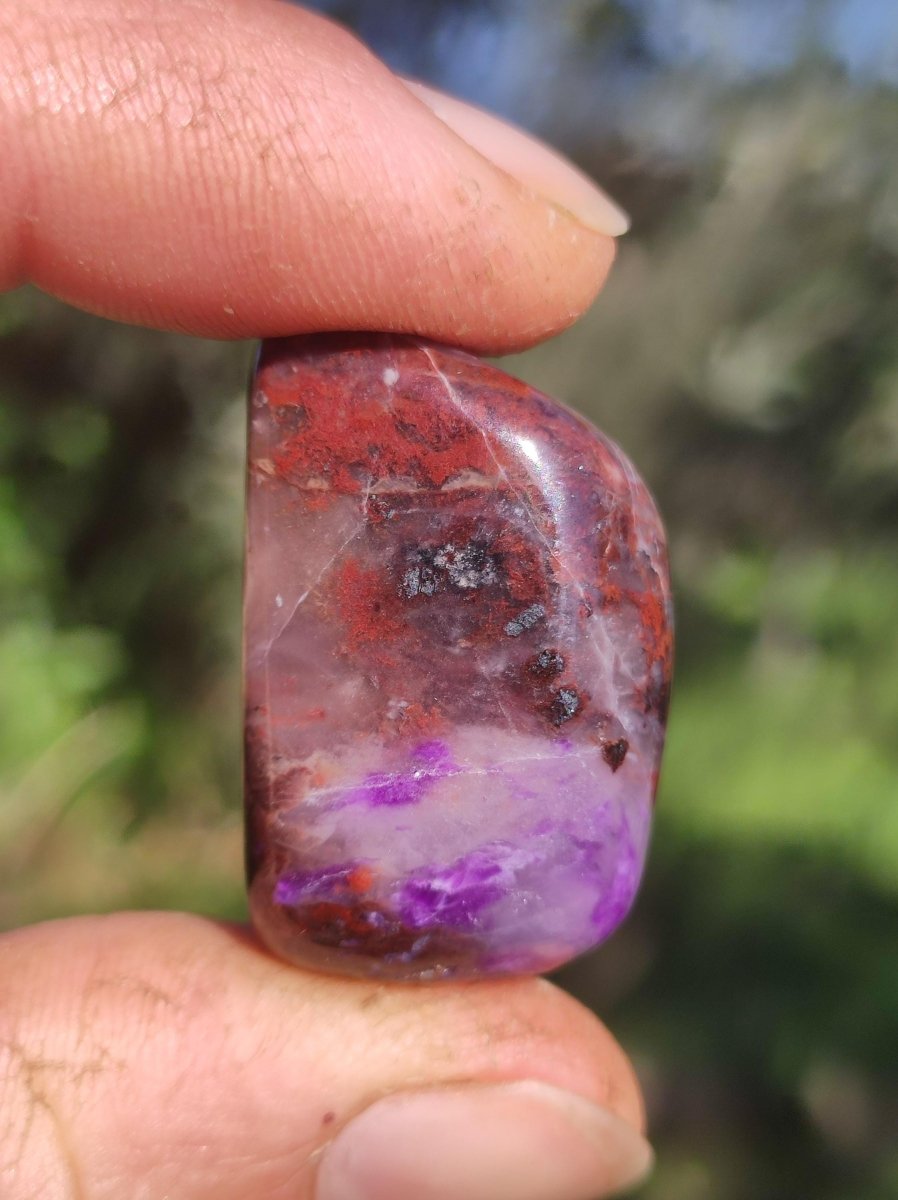 Sugilith - Sammler Deko Heilstein lila Handschmeichler Rarität Meditation Energie Edelstein Kristall Investition Wertanlage Natürlich Unikat - Art of Nature Berlin