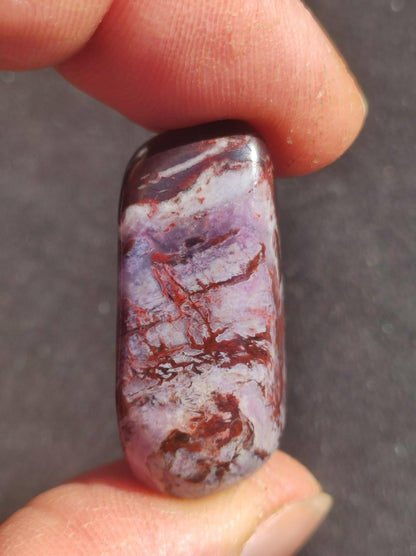 Sugilith - Sammler Deko Heilstein lila Handschmeichler Rarität Meditation Energie Edelstein Kristall Investition Wertanlage Natürlich Unikat - Art of Nature Berlin