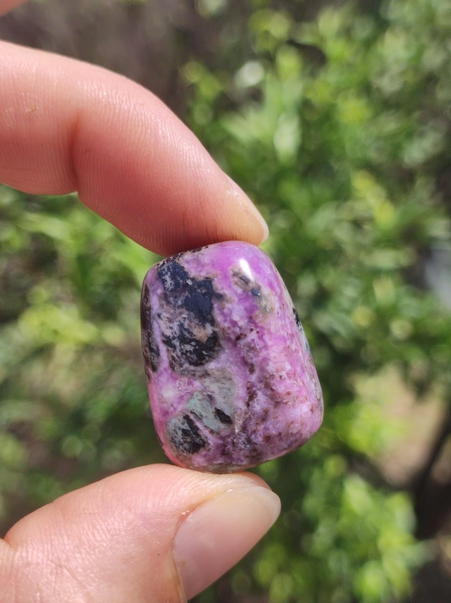 Sugilith - Sammler Deko Heilstein lila Handschmeichler Rarität Meditation Energie Edelstein Kristall Investition Wertanlage Natürlich Unikat - Art of Nature Berlin