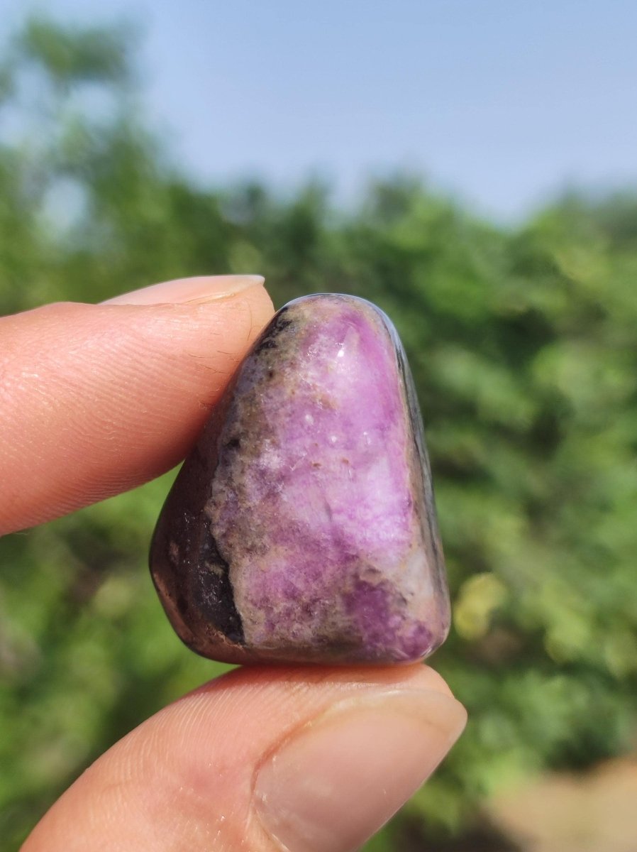 Sugilith - Sammler Deko Heilstein lila Handschmeichler Rarität Meditation Energie Edelstein Kristall Investition Wertanlage Natürlich Unikat - Art of Nature Berlin
