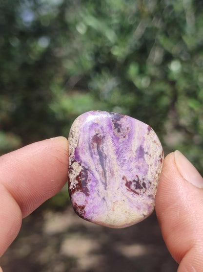 Sugilith - Sammler Deko Heilstein lila Handschmeichler Rarität Meditation Energie Edelstein Kristall Investition Wertanlage Natürlich Unikat - Art of Nature Berlin