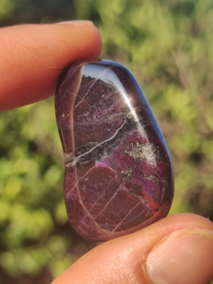 Sugilith - Sammler Deko Heilstein lila Handschmeichler Rarität Meditation Energie Edelstein Kristall Wert Natürlich Unikat - Art of Nature Berlin