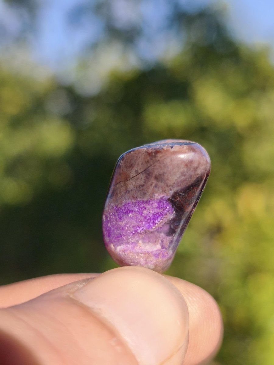 Sugilith / Sugilite Kette inkl. 925 Silberöse lila Edelstein Unikat Ethno Natur Heilstein Rarität Selten Flash Wow Sammler Investition Edel - Art of Nature Berlin