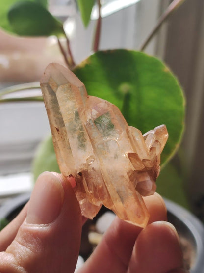 Tangerine Cluster / Stufe Rarität Deko Stein Edelstein Kristall Geschenk Er Sie Freundin Heilstein Meditation Kraft Energie Haus Wohnen - Art of Nature Berlin