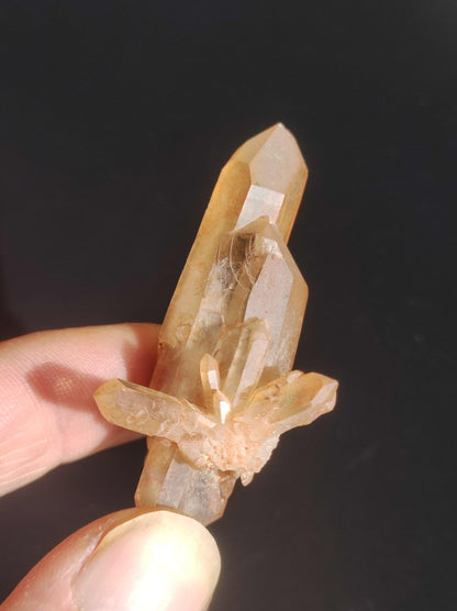 Tangerine Cluster / Stufe Rarität Deko Stein Edelstein Kristall Geschenk Er Sie Freundin Heilstein Meditation Kraft Energie Haus Wohnen - Art of Nature Berlin